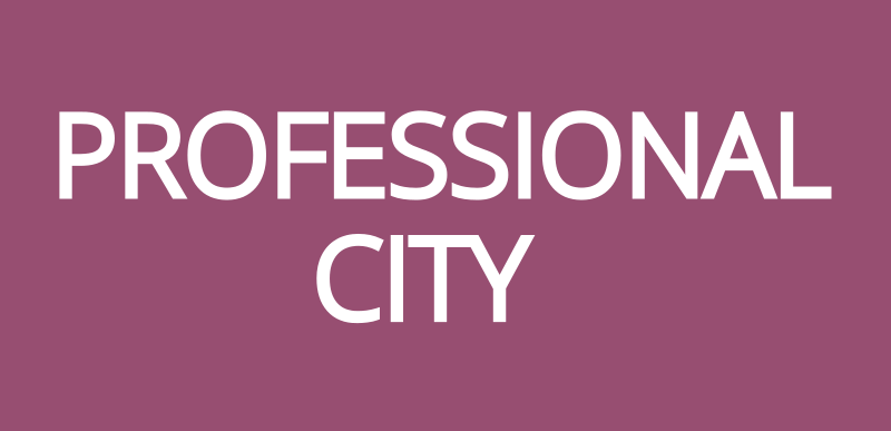 Professional City (Профешинал Сити)